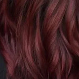 Chestnut & Warm Browns